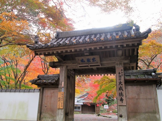 牛滝山の紅葉　大威得寺～松尾寺_d0361028_22534921.jpg