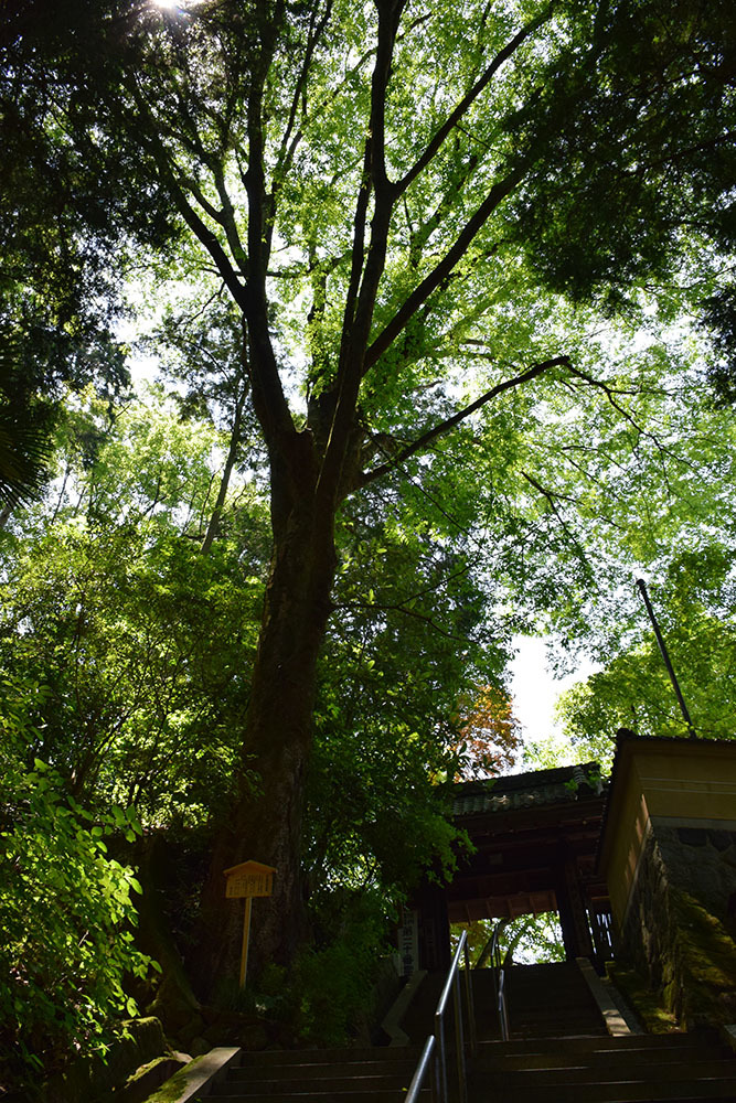e0158128_14533243.jpg