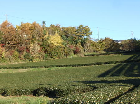 b0137932_17434629.jpg