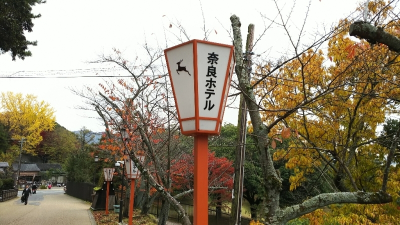 e0305834_00525856.jpg
