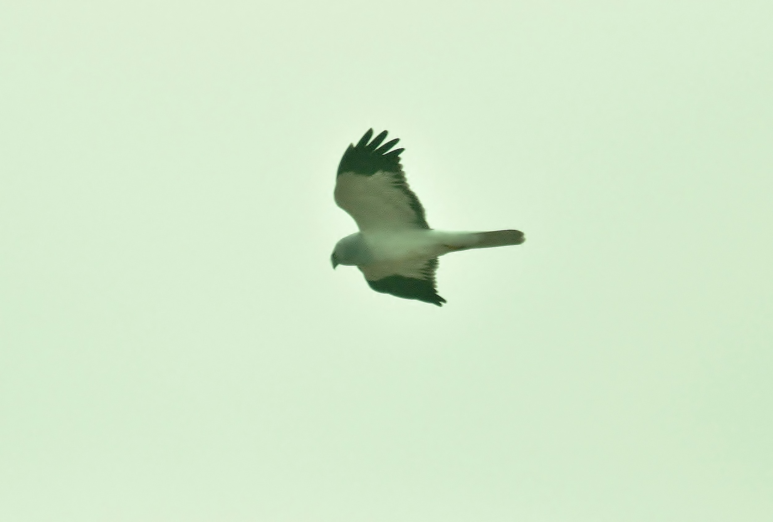 e0364435_10172917.jpg