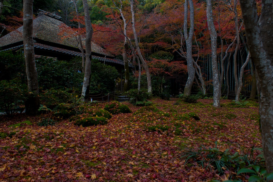 e0363038_9292369.jpg