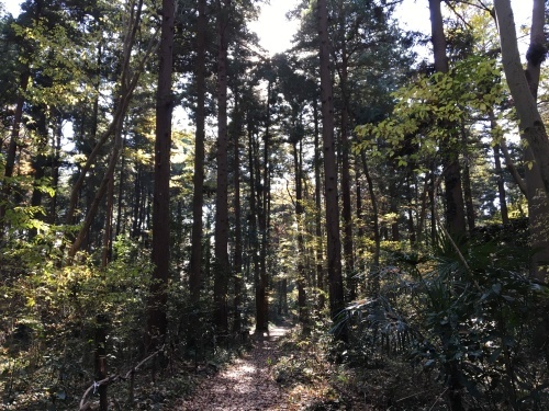 b0330040_22545350.jpeg