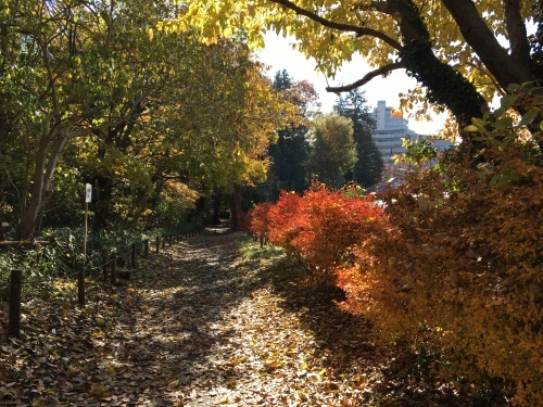 b0330040_22575220.jpeg