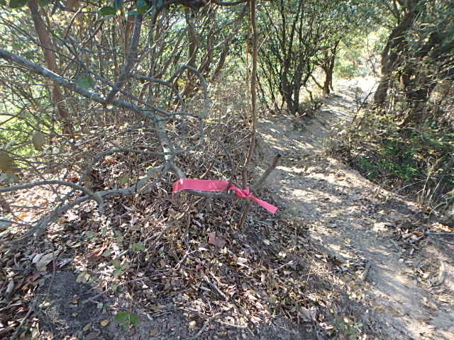 f0334143_21364978.jpg