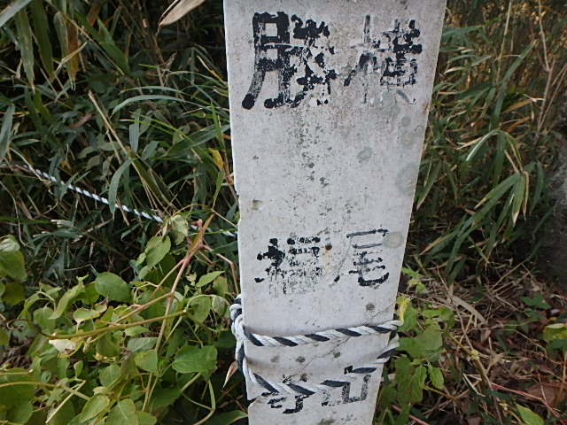 f0334143_2146498.jpg