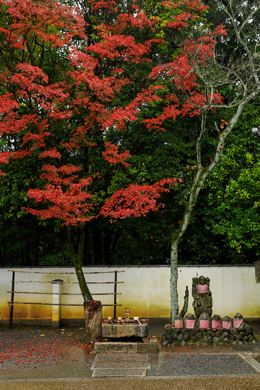 京都の紅葉2017 御座所庭園の美（泉涌寺）_f0155048_20275732.jpg