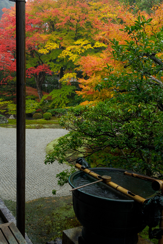 京都の紅葉2017 御座所庭園の美（泉涌寺）_f0155048_20315399.jpg