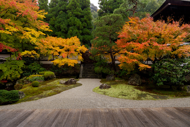 京都の紅葉2017 御座所庭園の美（泉涌寺）_f0155048_2032303.jpg