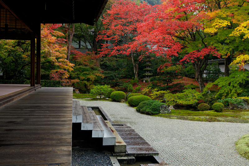 京都の紅葉2017 御座所庭園の美（泉涌寺）_f0155048_2032490.jpg