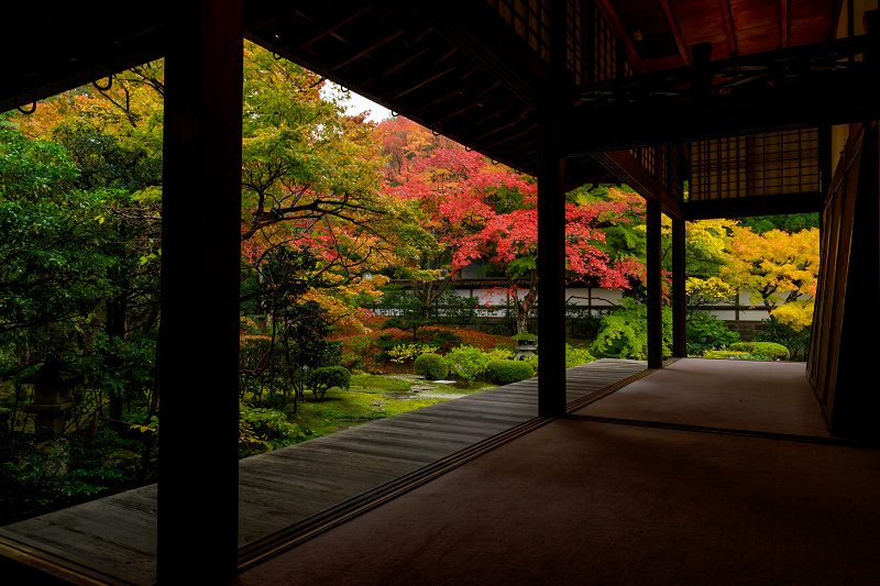 京都の紅葉2017 御座所庭園の美（泉涌寺）_f0155048_20402689.jpg