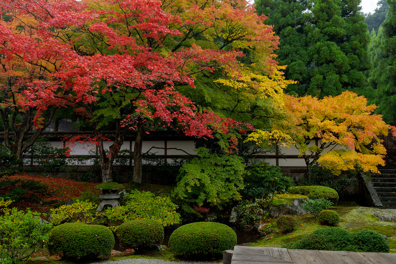 京都の紅葉2017 御座所庭園の美（泉涌寺）_f0155048_20453739.jpg