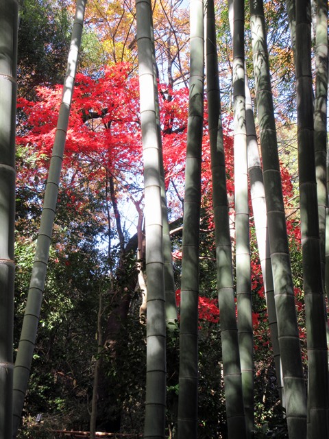 b0009849_16051.jpg