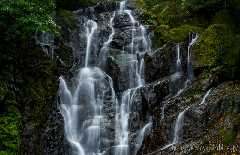 Waterfall ...白糸の滝_a0333661_11153623.jpg