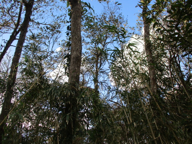 b0366663_17355971.jpg