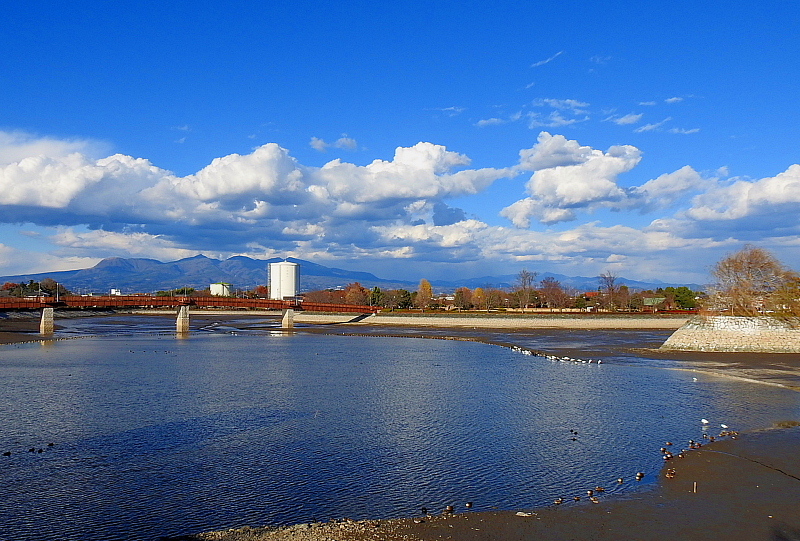 c0305565_17363259.jpg