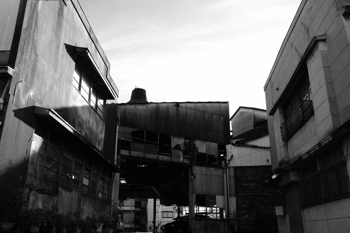 c0084666_20554537.jpg