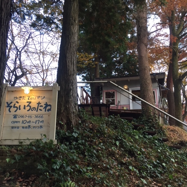 阿蘇小国町へ森林ツアーに行ってきました。_b0112371_16062167.jpg