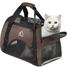 猫のクレートトレーニング_e0367571_08512517.png