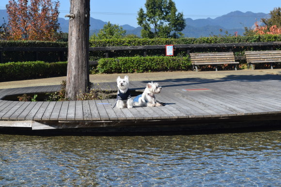 ♪ ダニエル ぼうさいの丘公園＆伊志川さんでランチだよ～(*^^)v ♪_b0242873_22403251.jpg