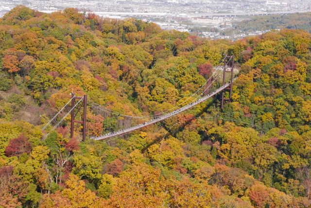 b0358575_02524657.jpg