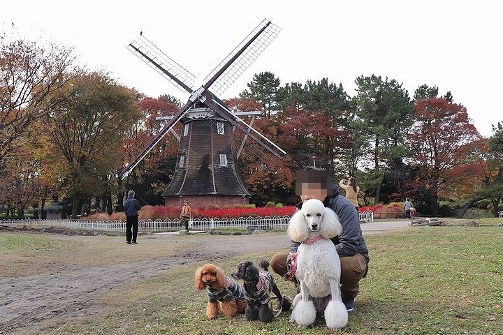 名城公園へ行ってみた。_b0111376_15190435.jpg