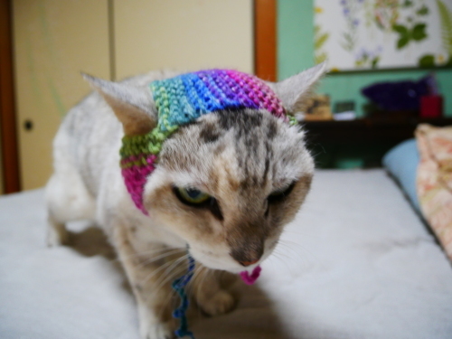 f0054677_07542423.jpg