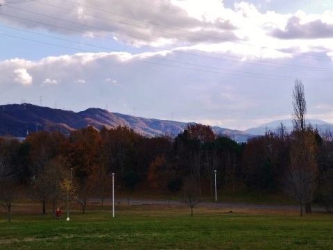 a0147281_21540987.jpg