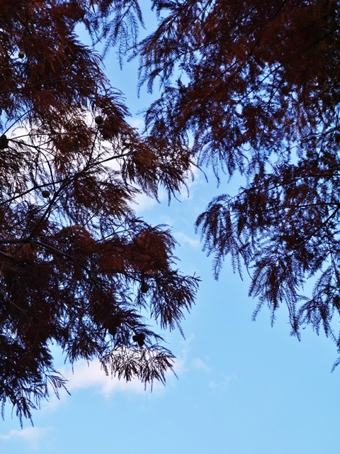 a0147281_22002109.jpg