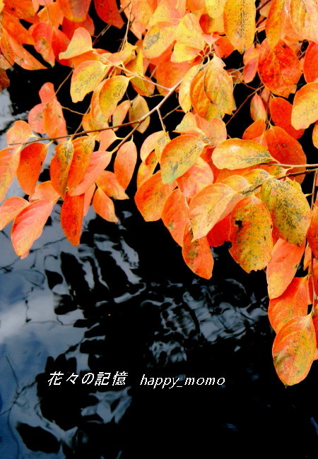 c0357781_10214088.jpg