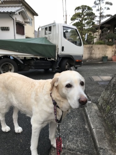 f0315081_22143542.jpeg