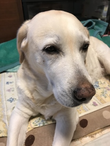 f0315081_22153472.jpeg