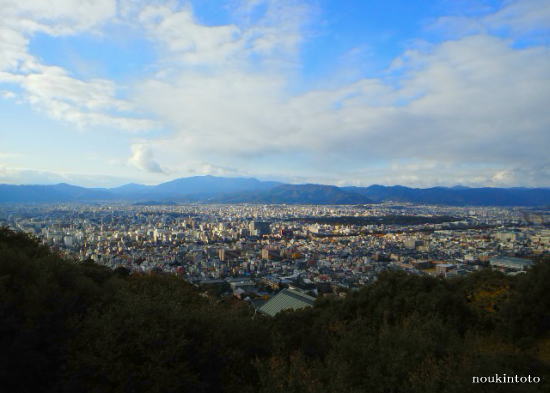 a0019082_8173657.jpg