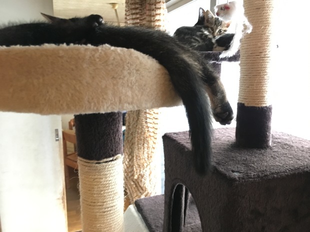 b0377882_22311970.jpeg