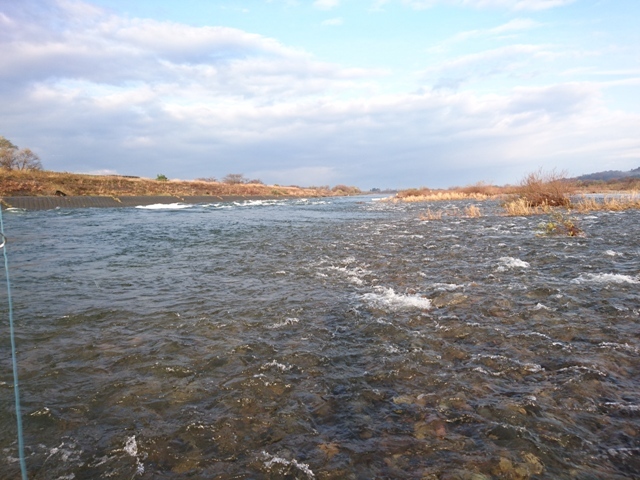 c0157482_10330977.jpg