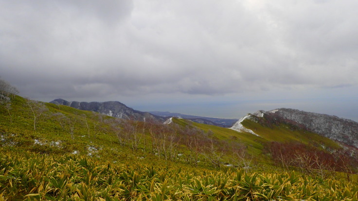 a0242984_00010685.jpg