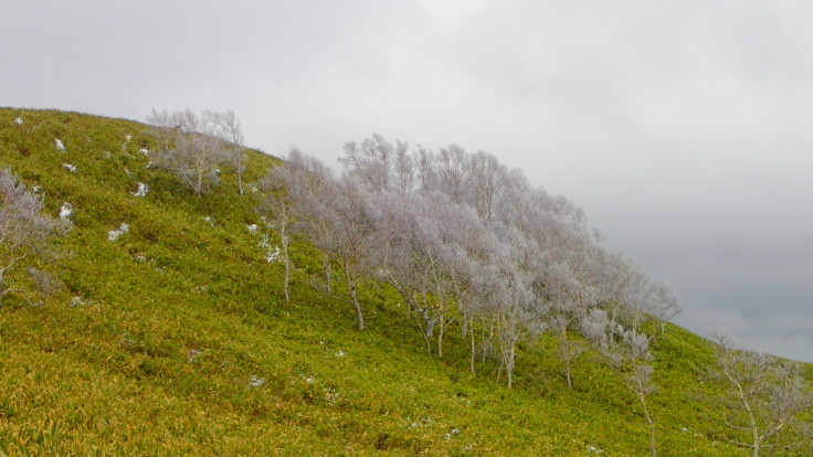 a0242984_00013134.jpg