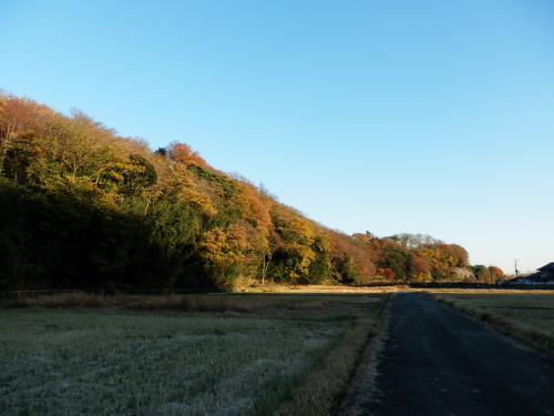 陣馬山・中津川_b0334084_21474890.jpg