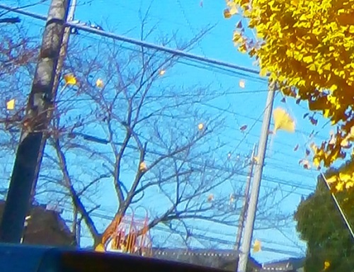 e0366084_13482668.jpg