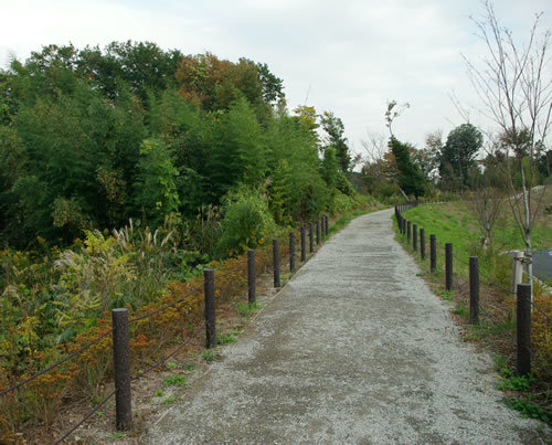 b0123486_08192915.jpg