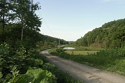 e0360486_11525582.jpg