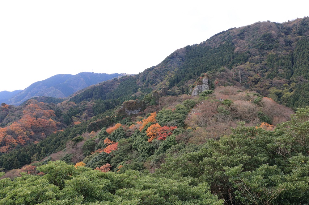 国東半島六郷満山「文珠山（616ｍ）」登山　＃1_c0366392_17281791.jpg