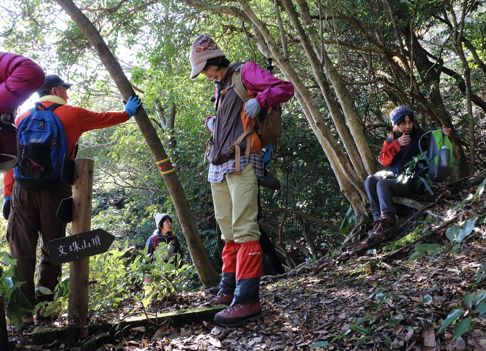 国東半島六郷満山「文珠山（616ｍ）」登山　＃1_c0366392_17453951.jpg