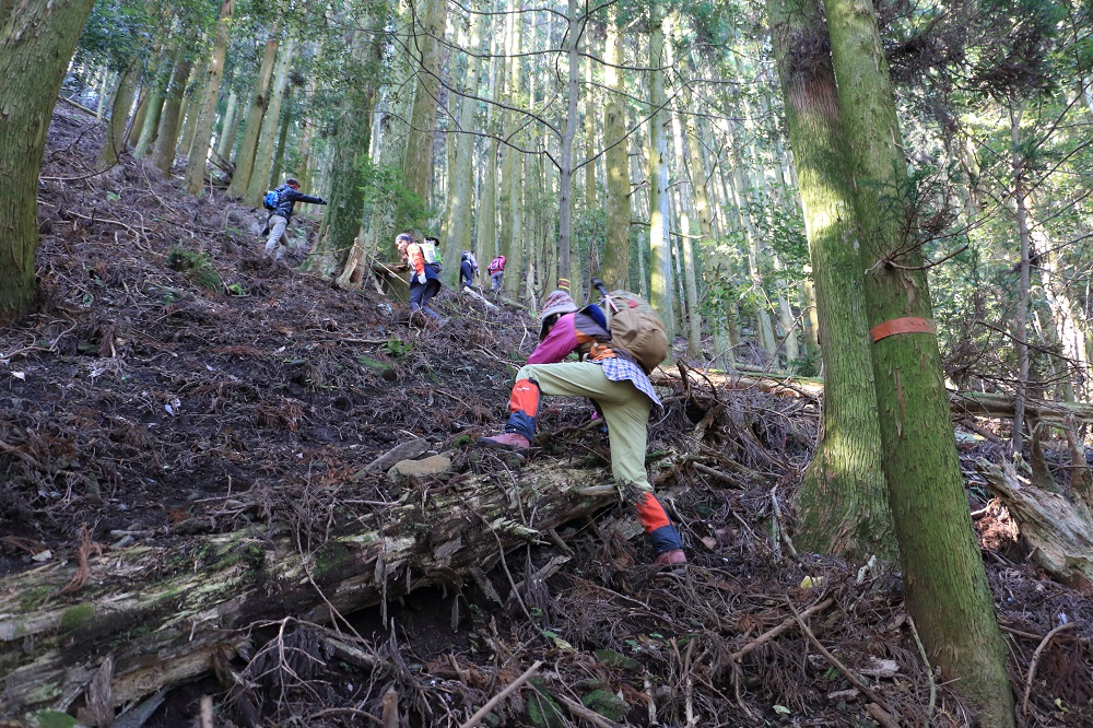 国東半島六郷満山「文珠山（616ｍ）」登山　＃1_c0366392_1752198.jpg