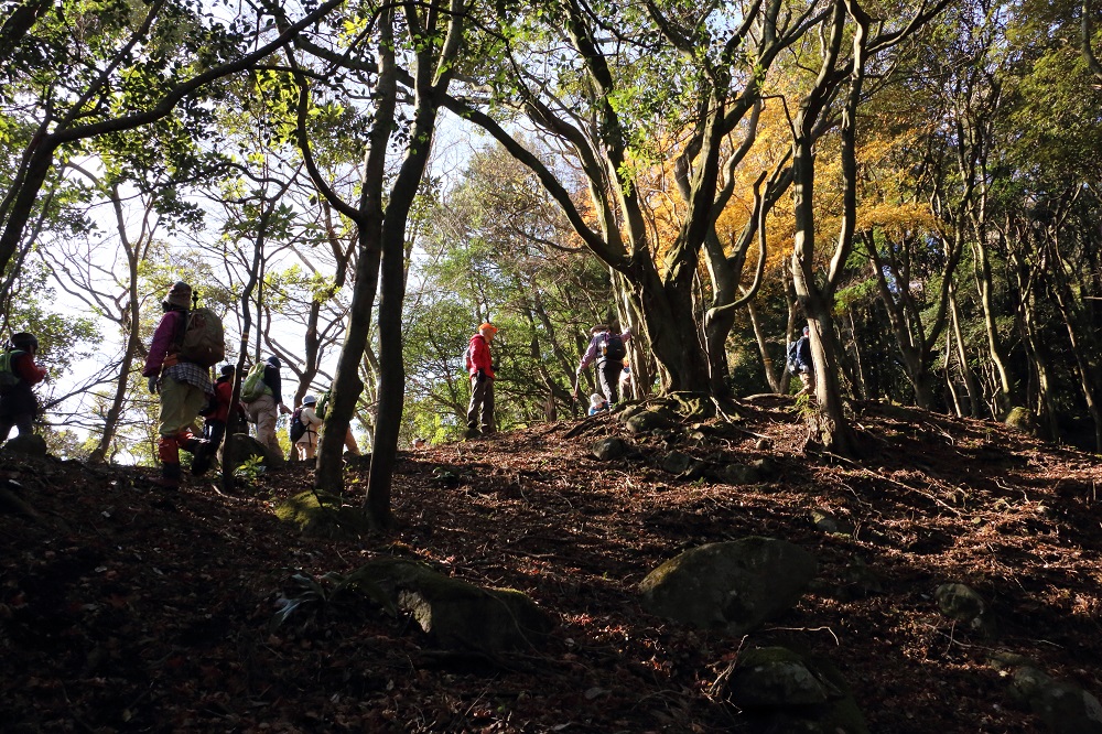 国東半島六郷満山「文珠山（616ｍ）」登山　＃1_c0366392_17584594.jpg