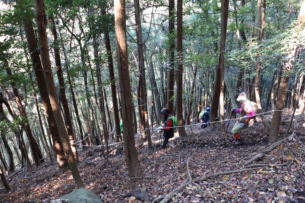 国東半島六郷満山「文珠山（616ｍ）」登山　＃1_c0366392_19381412.jpg