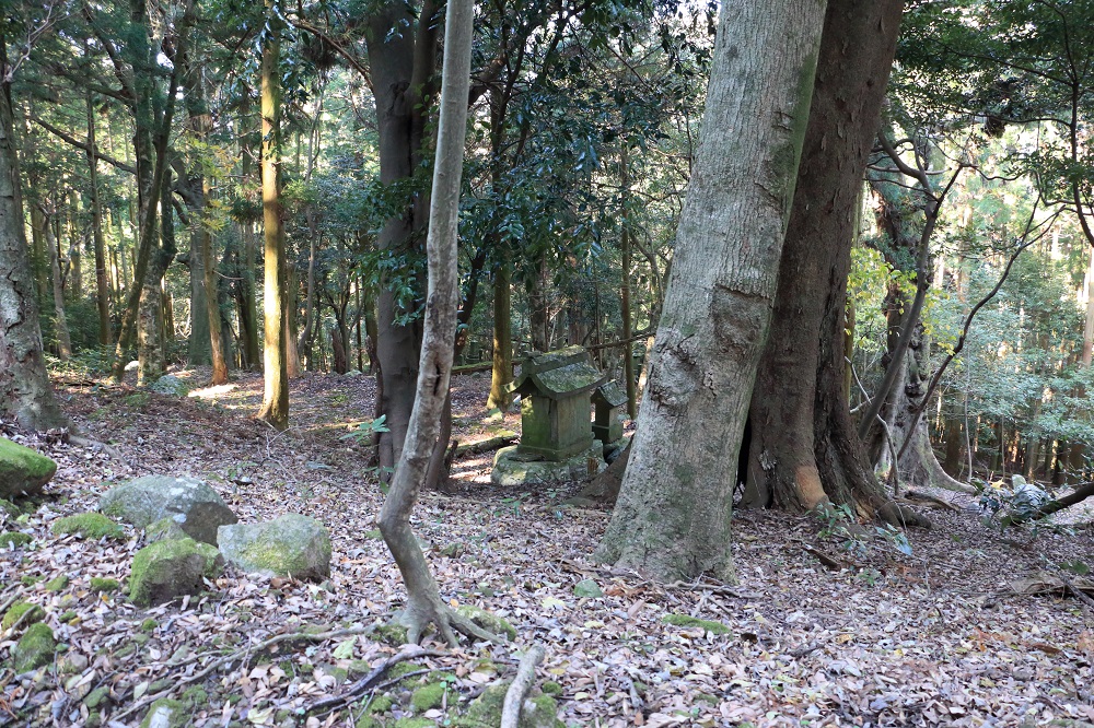 国東半島六郷満山「文珠山（616ｍ）」登山　＃1_c0366392_19403680.jpg