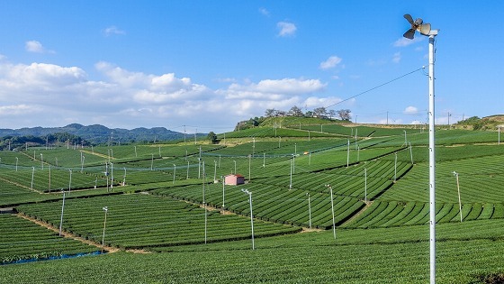 e0176993_07461625.jpg