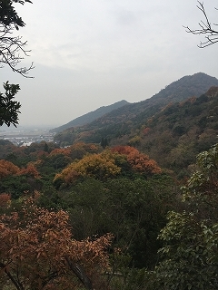 b0199498_00483190.jpg
