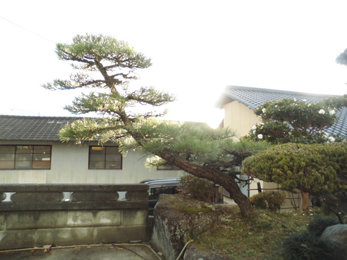 c0108198_17245289.jpg